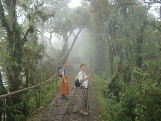 jungle-mist-sarongs